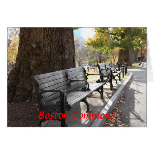 Cartão Park Bench, Boston Commons, Massachusetts