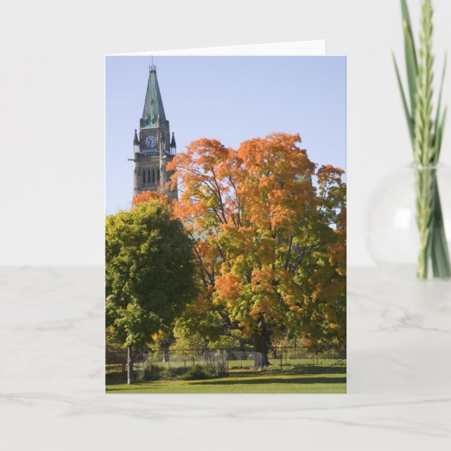 Cartão Park beside the Parliment Building in Ottawa, (Frente)