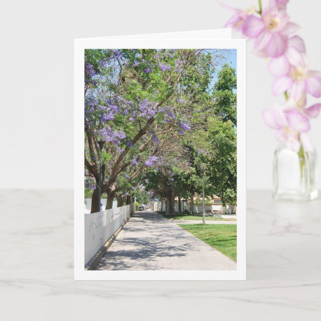 Cartão Parque de la Bombilla, Lliria, Valencia, Spain (Orquídea)