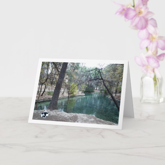 Cartão Parque de San Vicente, Lliria, Valência, Espanha (Orquídea)