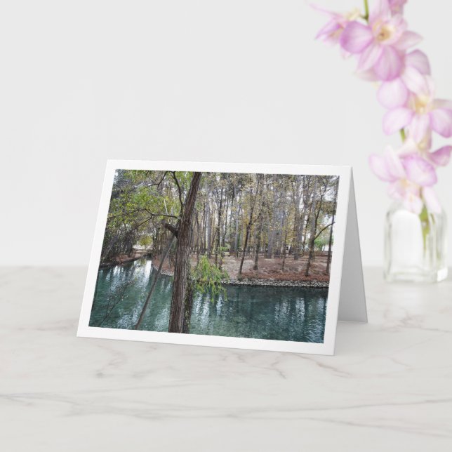 Cartão Parque de San Vicente, Lliria, Valência, Espanha (Orquídea)