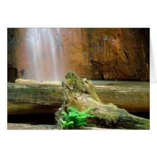 Cartão Parque Estadual das Sequoias, CA