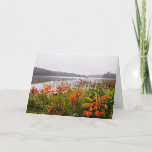 Cartão Parque Estadual de Itasca   Minnesota