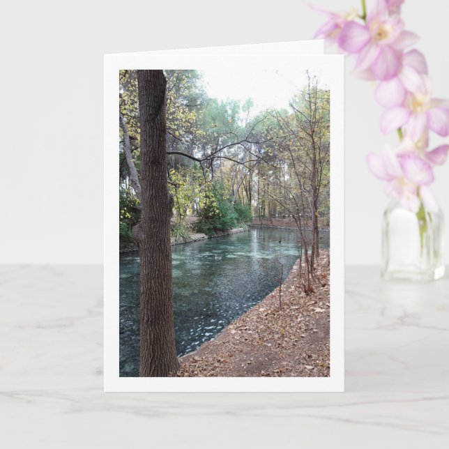 Cartão Parque Municipal San Vicente, Lliria, Valencia (Orquídea)