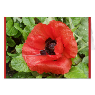 Cartão Parque nacional de Glenveigh, N.I.