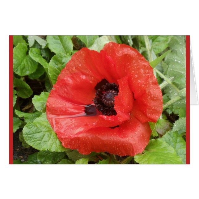 Cartão Parque nacional de Glenveigh, N.I. (Frente Horizontal)