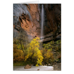 Cartão Parque Nacional de Zion, Utah. EUA. Efêmero