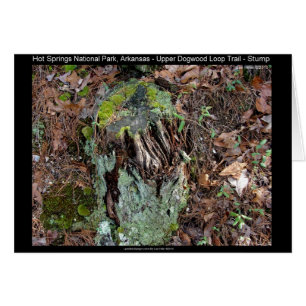 Cartão Parque Nacional dos Primaveras Quentes, AR Upper D