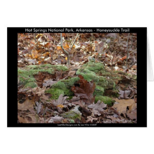 Cartão Parque Nacional dos Quentes-Primaveras, AR - Trilh