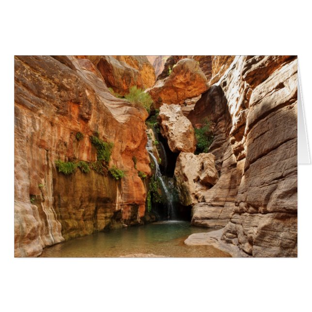 Cartão Parque Nacional Grand Canyon, Arizona (Frente Horizontal)