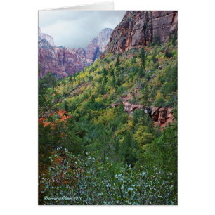 Cartão Parque Nacional Zion Canyon