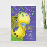 Parrot Lover Birthday com Bird do Orçamento