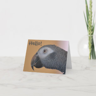 Cartão Parrot Note Card