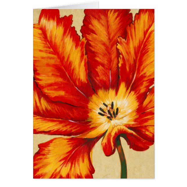 Cartão Parrot Tulip II (Frente)