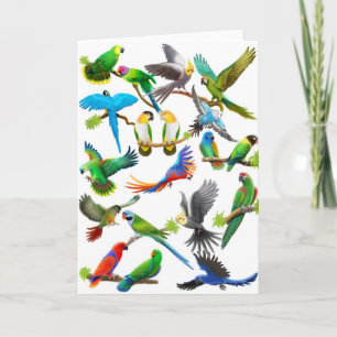 Cartão Parrots Galore Card