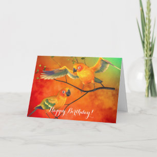 Cartão Parrots Sun Conures Birthday Card
