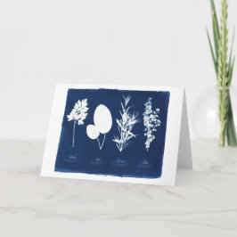 Cartão Parsley Sage Rosemary & Thyme Blank