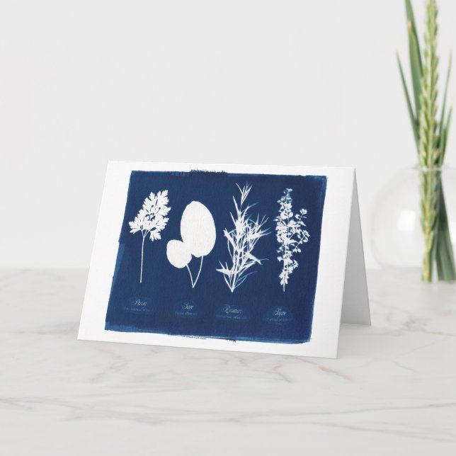 Cartão Parsley Sage Rosemary & Thyme Blank (Frente)