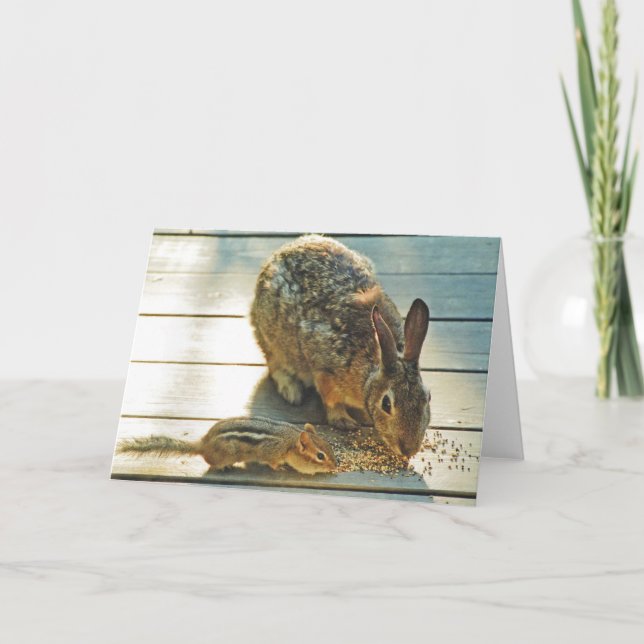 Cartão Partilha do coelho e do Chipmunk (Frente)