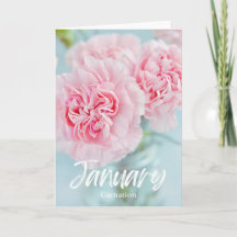 Parto do Mês de Nascimento do Cravo Rosa de Janeir