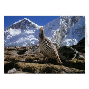 Cartão Partridge in Himalayas Card