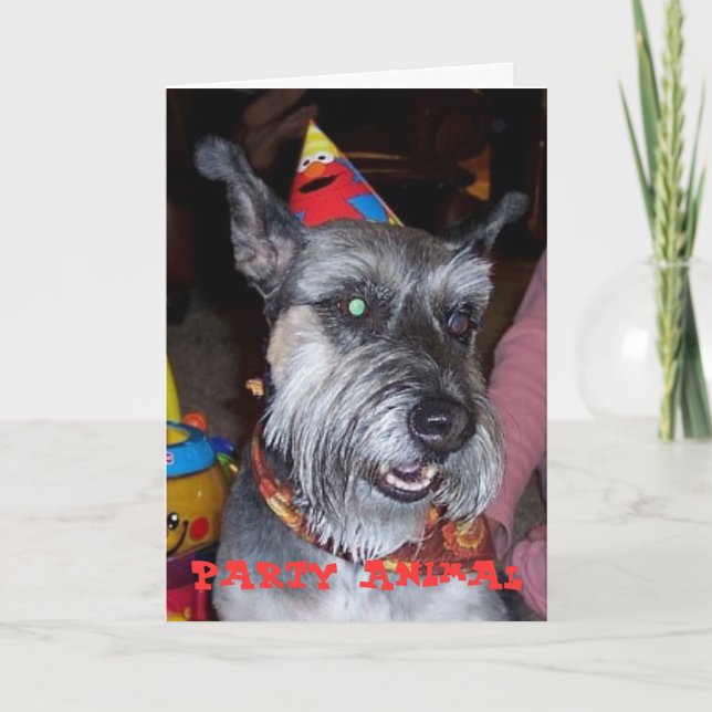 Cartão Party Animal, Birthday Card (Frente)