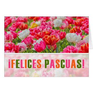 Cartão PÁSCOA ESPANHOLA Joyeuses Paca Tulipas Rosa Jardim