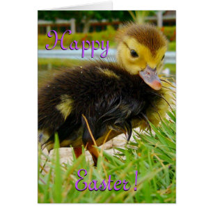 CARTÃO PÁSCOA PINTINHO I