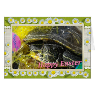 Cartão Páscoa Turtle Flower Border Arte Digital