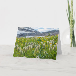 Cartão Pasqueflower Ocidental Montanhas de East Kootena