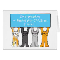 Passando no Exame Stephen do CPA, Personalizado.