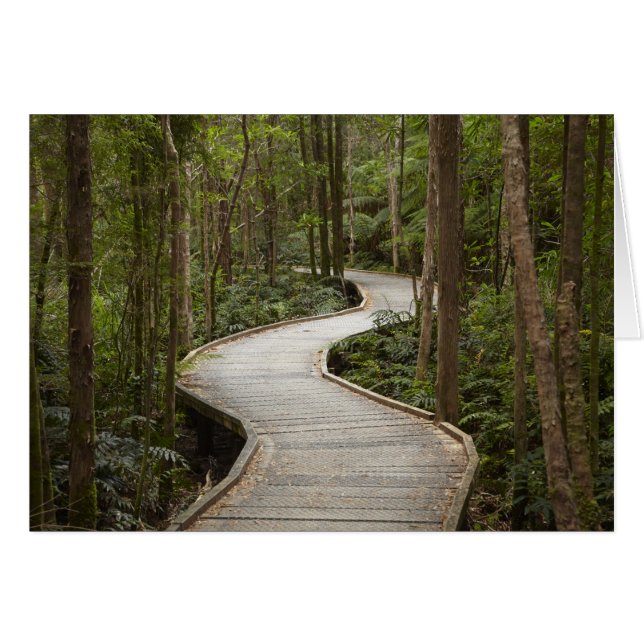 Cartão Passarela para Nelson Falls, Franklin - Gordon (Frente Horizontal)