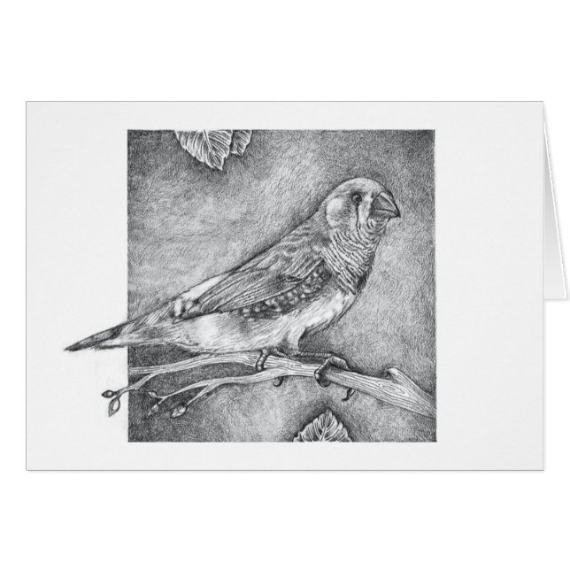 Cartão Passarinho de zebra (Frente horizontal)