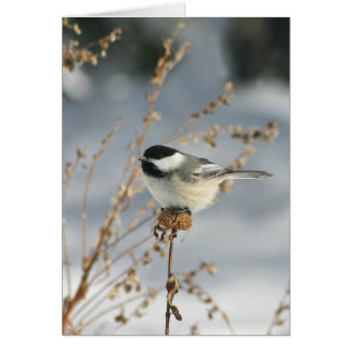 Cartão Pássaro