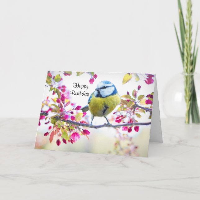 Cartão Pássaro Azul e Amarelo bonito em uma Fotografia de (Frente)