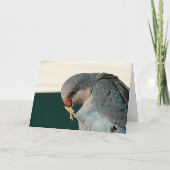 Cartão Pássaro bonito (Frente)