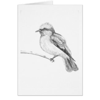 Cartão Pássaro bonito que trava todos atenção