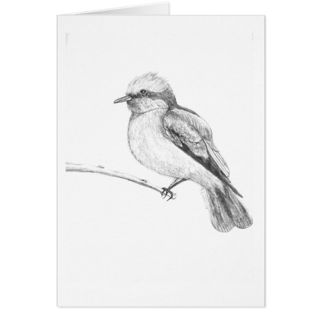 Cartão Pássaro bonito que trava todos atenção (Frente)