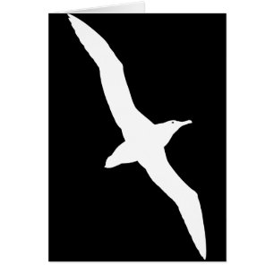 Cartão Pássaro branco do albatroz em vôo