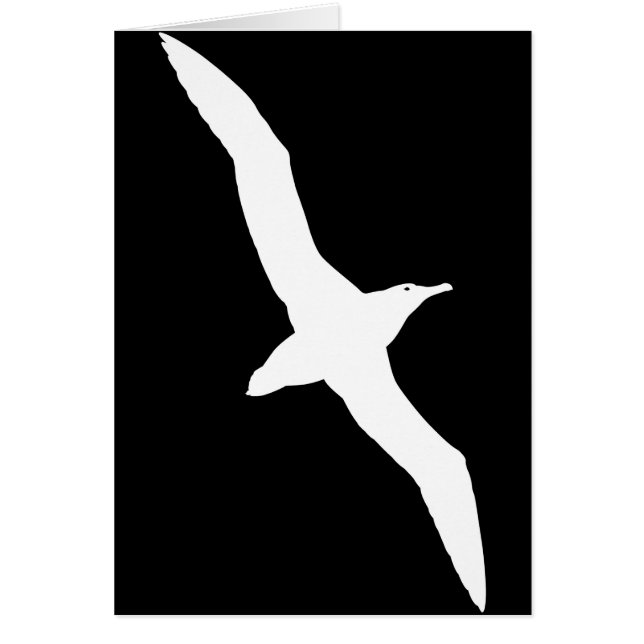 Cartão Pássaro branco do albatroz em vôo (Frente)
