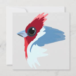 Cartão Pássaro Cardinal Pinto Vermelho
