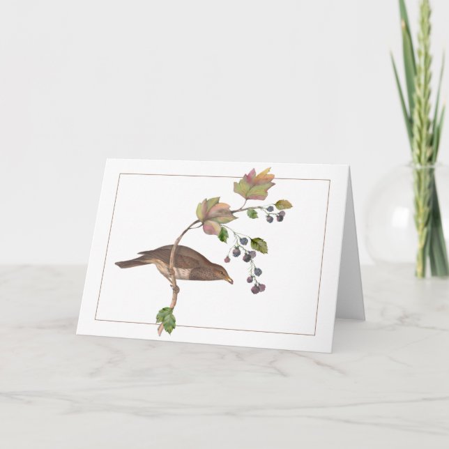 Cartão Pássaro Castanho em um Branch Colorido de Blackber (Frente)