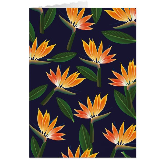 Cartão Pássaro da flor do paraíso (Frente)