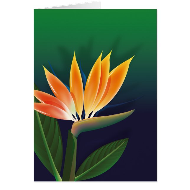 Cartão Pássaro da flor do paraíso (Frente)