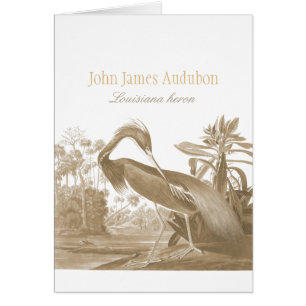 Cartão Pássaro da garça-real CC0750 de John James Audub