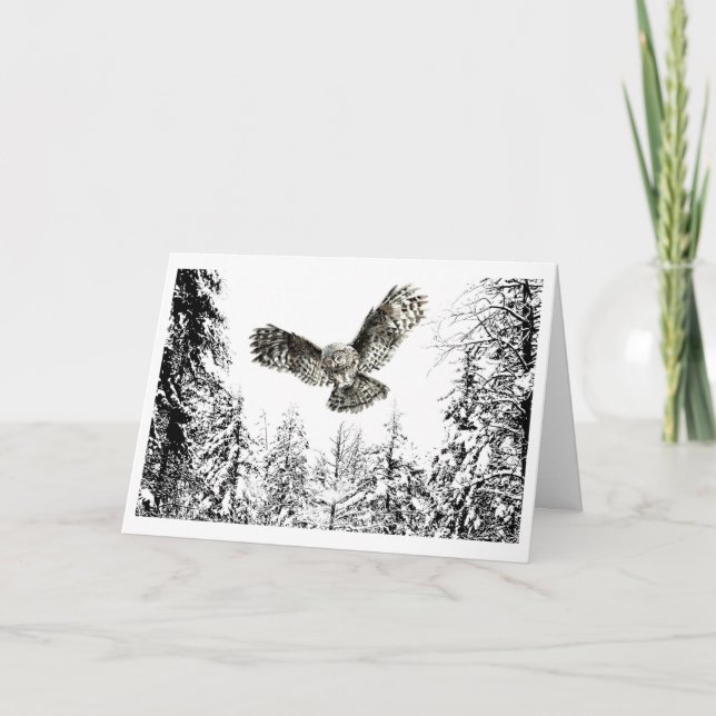 Cartão Pássaro de Coruja ou Coruja Original (Frente)