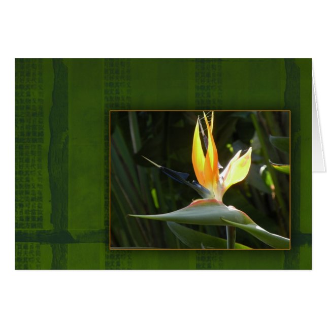 Cartão Pássaro de paraíso (Frente Horizontal)