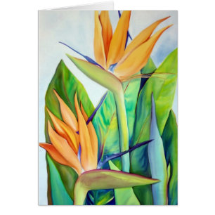 Cartão Pássaro de paraíso, flor tropical,