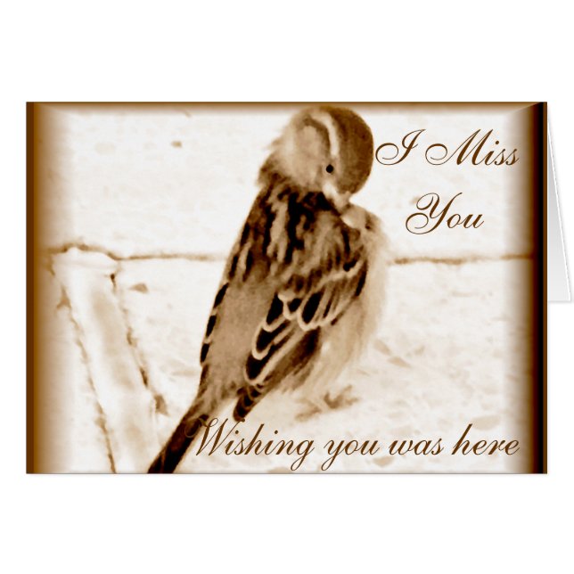 Cartão Pássaro do amor. (Frente horizontal)