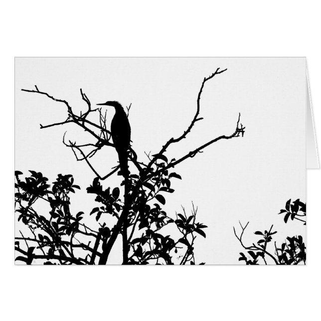 Cartão Pássaro do Anhinga (Frente Horizontal)